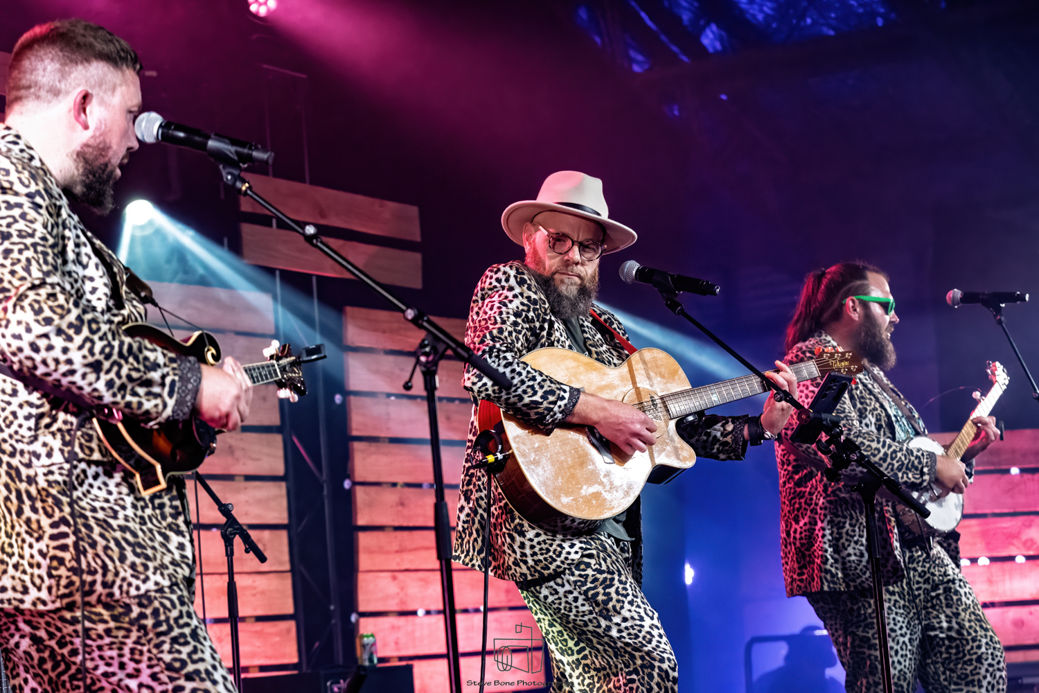 Saturday Showcase - Turkey The Bird