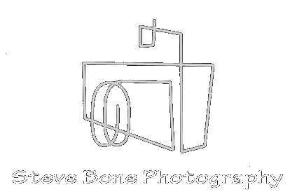 Steve Bone